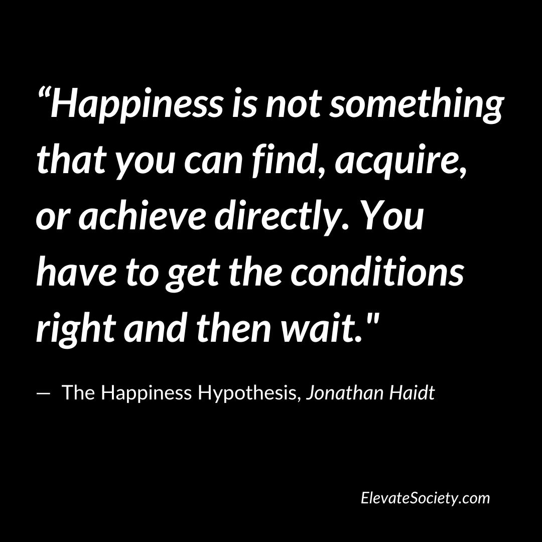 summary of the happiness hypothesis