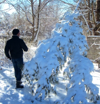 Newport_RI_Snow